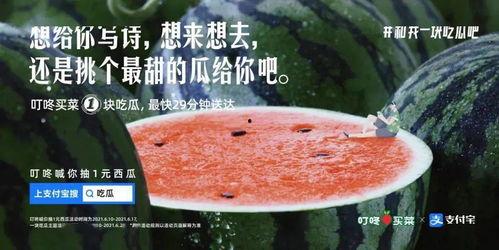 吃瓜理性文案,揭秘娱乐圈背后的真相