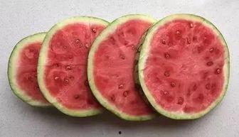 科学防晒吃瓜视频,科学吃瓜，轻松抵御紫外线