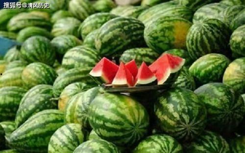 机地佬吃瓜视频