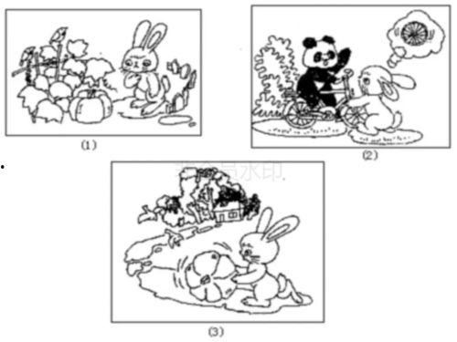 看图写话动物冬眠和吃瓜,动物们的季节性生活趣事