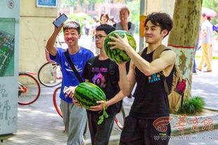 在学校下课吃瓜