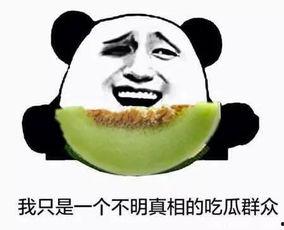 愚人吃瓜怎么理解